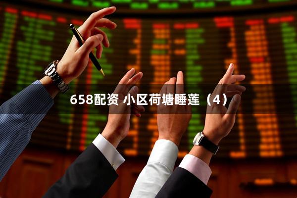 658配资 小区荷塘睡莲（4）
