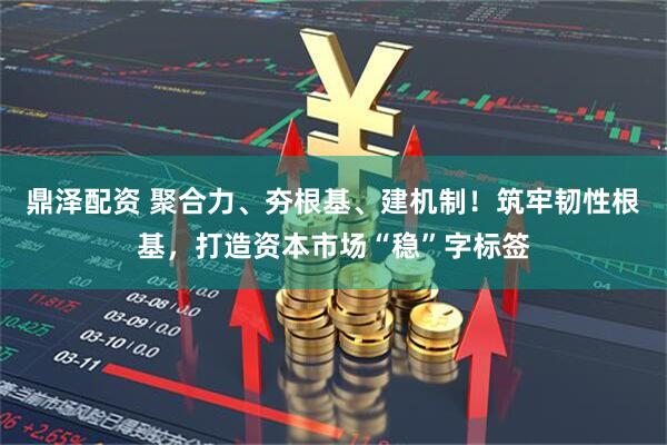 鼎泽配资 聚合力、夯根基、建机制！筑牢韧性根基，打造资本市场“稳”字标签