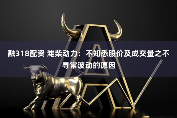 融318配资 潍柴动力：不知悉股价及成交量之不寻常波动的原因