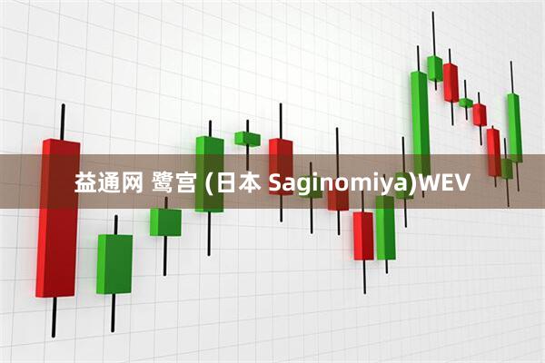 益通网 鹭宫 (日本 Saginomiya)WEV